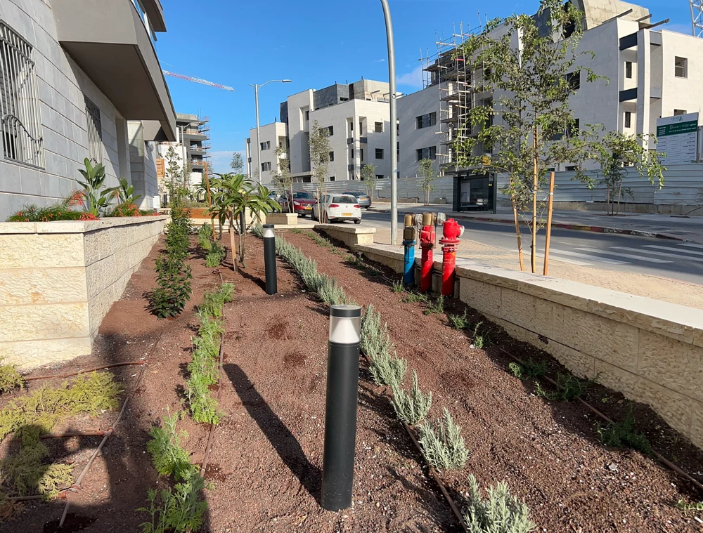 שתילה ופיתוח שטח