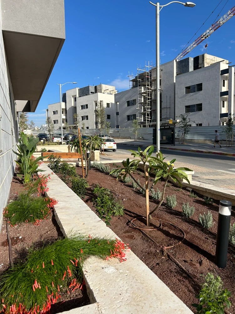 שתילה לאורך שביל ציבורי